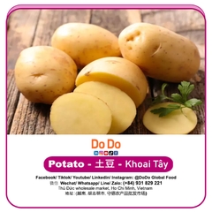 Khoai tây