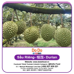 Sầu riêng 榴莲