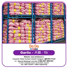Tỏi Sơn Đông Trung Quốc