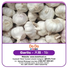 Tỏi Sơn Đông Trung Quốc