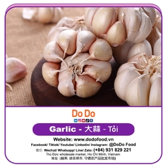 Tỏi Sơn Đông Trung Quốc