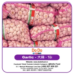 Tỏi Sơn Đông Trung Quốc