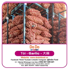 Tỏi lột vỏ - DODO FOOD