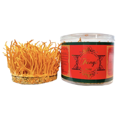 Nấm Tươi Đông Trùng Hạ Thảo Tươi FUNGI gold