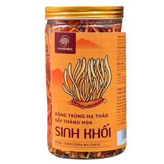 Đông Trùng Hạ Thảo sấy thăng hoa – Sinh khối