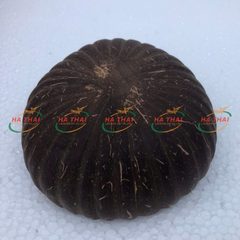 Natural Coconut Bowl