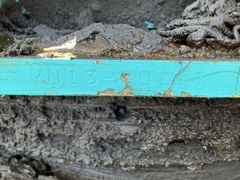 MÁY XÚC ĐÀO KOBELCO SK210D-9 – MODEL 2014