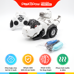 Robot Khủng Long Điều Khiển Phun Khói Xoay 360 độ Pin Sạc PeeKaPaw Toys
