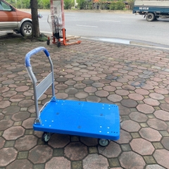 Xe đẩy shenpai 300kg 99D-16