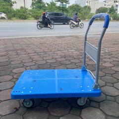Xe đẩy shenpai 300kg 99D-17