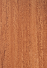 Sàn nhựa Forbo Nuvia SPC 13