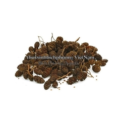 ALDER CONES ERLENZAPFEN CONE - QUẢ THÔNG KHÔ