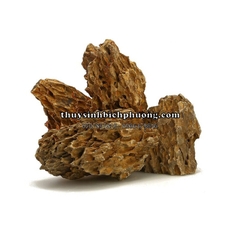 ĐÁ TIGER SETUP LAYOUT