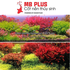 MAGIC BASE PLUS - CỐT NỀN GIÀU DINH DƯỠNG