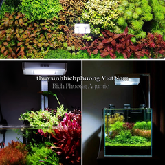 NETLEA AT3 PRO 40W / 65W LED LIGHT - ĐÈN LED THỦY SINH CAO CẤP