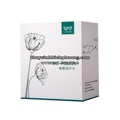 CỐC TRỒNG CÂY THỦY TINH VIV CAO CẤP