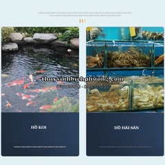 MÁY SỦI OXY TÍCH ĐIỆN HAILEA CP40 | CP70 | CP100