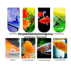 TETRA NHẬT TAIYO (DẠNG ỐNG) -  PHÒNG VÀ ĐIỀU TRỊ BỆNH CHO CÁ, DƯỠNG CÁ KHỎE