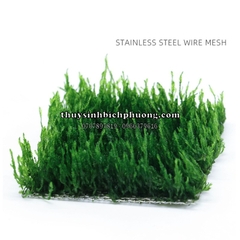 VĨ INOX 304 ƯƠM RÊU, RÁY NANA, DƯƠNG XỈ, BUCEP (8*8CM)