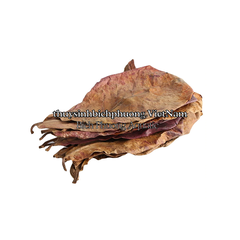 10 LÁ BÀNG KHÔ - GIẢM pH & THẦN DƯỢC PHÒNG VÀ ĐIỀU TRỊ BỆNH CHO CÁ CẢNH