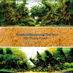 NATURAL GOLDEN SAND | CÁT NẮNG VÀNG TỰ NHIÊN