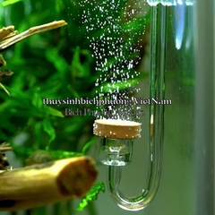 CỐC SỦI CO2 EBI - ĐẦU SỦI CO2 TÁN NHỎ KHÍ CO2