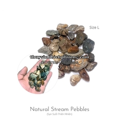 FEMOLAY NATURAL STREAM GRAVEL SIZE L - SẠN SUỐI TỰ NHIÊN