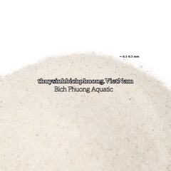 FINE WHITE SAND | CÁT TRẮNG MỊN TỰ NHIÊN