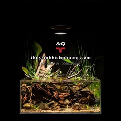 ĐÈN RỌI LEDSTAR AQ TYNDALL WRGB CAO CẤP (CHỈNH ĐƯỢC TIÊU CỰ)