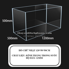 HỒ KÍNH SIÊU TRONG HOÀNG MÂY VIỆT NAM
