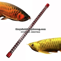 NO1 5D BELOS - ĐÈN LED TANNING CHO CÁ RỒNG ( HUYẾT LONG | KIM LONG)