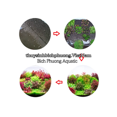 NEO SOIL COMPACT PLANTS của AQUARIO - PHÂN NỀN | ĐẤT NỀN THỦY SINH