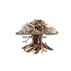 BONSAI MINI TÁN NẤM - TIỂU CẢNH GỖ LŨA