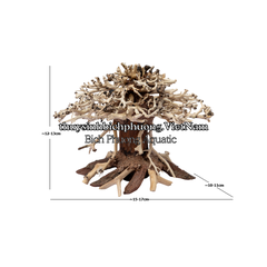 BONSAI MINI TÁN NẤM - TIỂU CẢNH GỖ LŨA