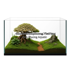 BONSAI MINI TÁN NẤM - TIỂU CẢNH GỖ LŨA