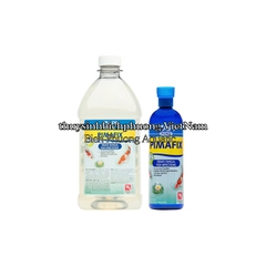 API POND PIMAFIX - PHÒNG VÀ ĐIỀU TRỊ NẤM CÁ CẢNH CẤP TỐC