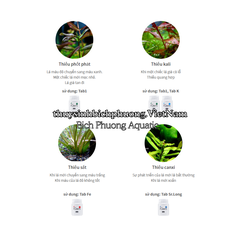 NEO PLANTS TAB K, FE, VI LƯỢNG, ĐA LƯỢNG - PHÂN NHÉT BỔ SUNG DINH DƯỠNG