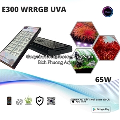 ĐÈN LED MAGIC LIGHT E300 PRO WRRGB UVA