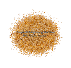 SHIMMERING GOLDEN SAND | CÁT NẮNG VÀNG KIM SA