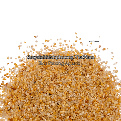 SHIMMERING GOLDEN SAND | CÁT NẮNG VÀNG KIM SA