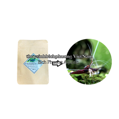 BỘT TẠO RÊU, KÍCH TẢO XANH CHO HỒ CÁ  CẢNH, TÉP SULA