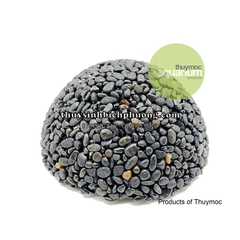 NAPAD TRÒN - GIÁ THỂ TRỒNG CÂY