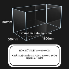 HỒ KÍNH SIÊU TRONG HOÀNG MÂY VIỆT NAM