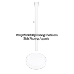 COMBO ỐNG CHÉN THỦY TINH CHO TÉP ĂN