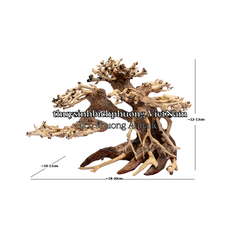BONSAI MINI TÁN ĐỔ PHẢI QUA TRÁI - TIỂU CẢNH GỖ LŨA