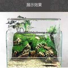 ĐÈN LED WEEK M SERIES (DIMMER / APP)