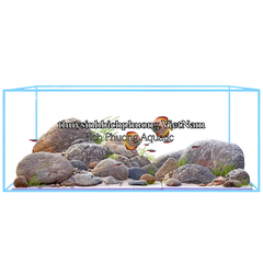 BỐ CỤC / LAYOUT ĐÁ CUỘI 1 - BIOTOP