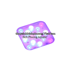 BIAOSE MARINE LIGHT - ĐÈN LED HỒ CÁ BIỂN