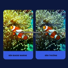 BIAOSE MARINE LIGHT - ĐÈN LED HỒ CÁ BIỂN