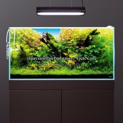 DECAL OPEN SKY BLUE STYLE ADA